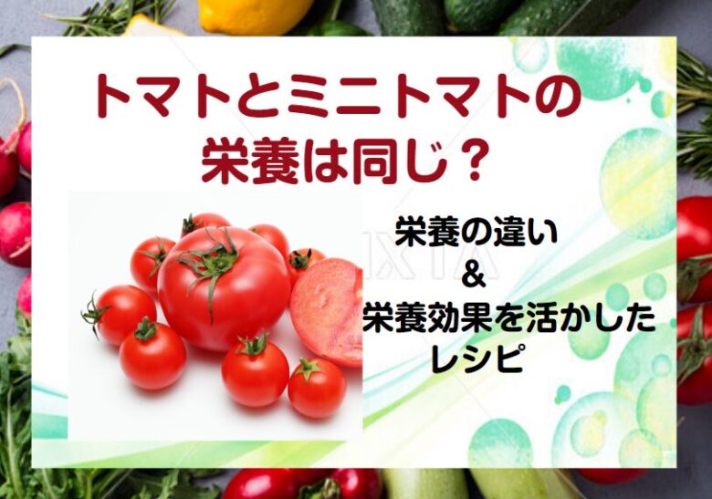 トマトとミニトマトの栄養は同じ？栄養の違いと栄養効果を活かしたレシピ